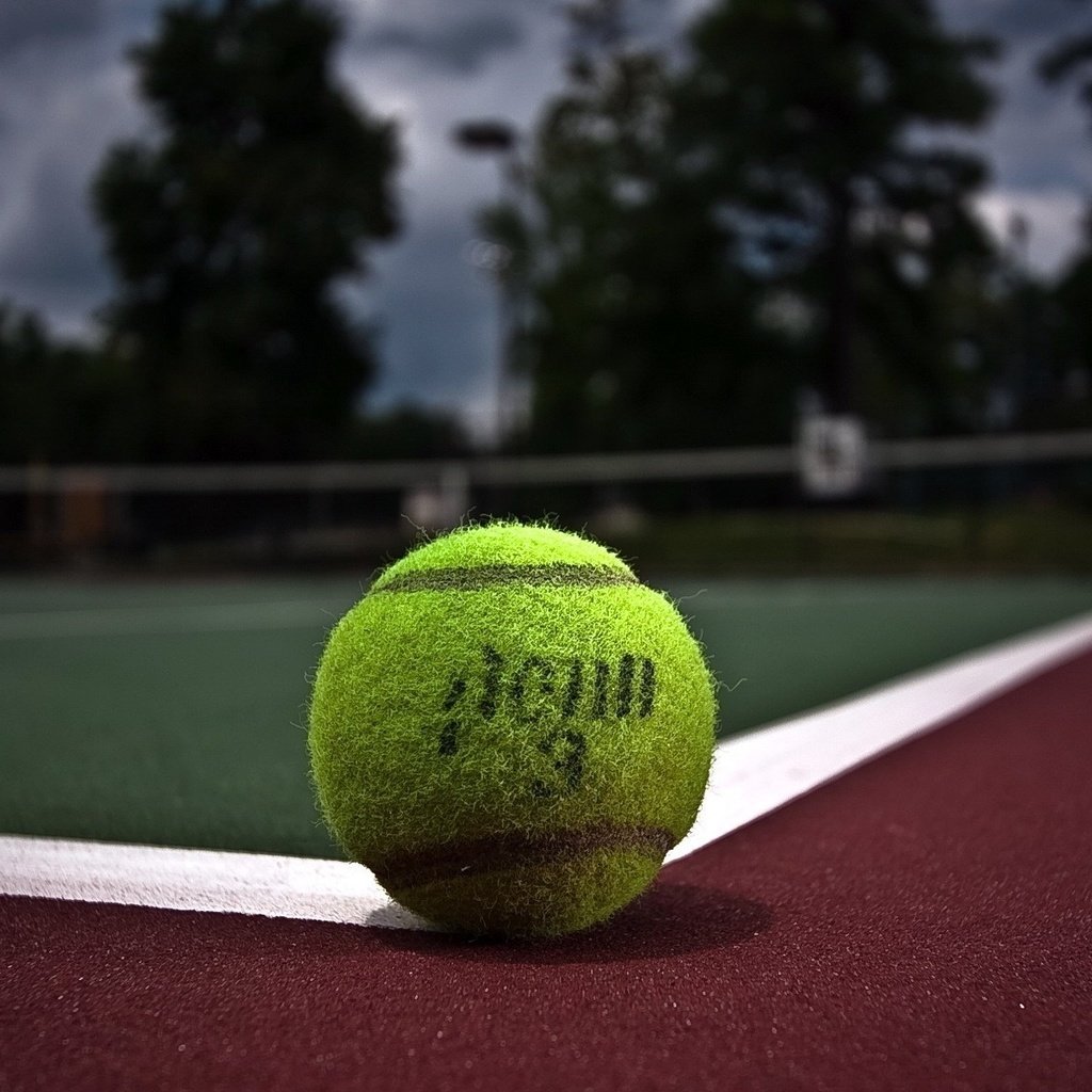 Обои мяч, теннис, корт, the ball, tennis, court разрешение 1920x1200 Загрузить