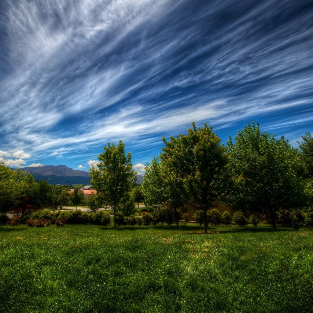 Обои небо, трава, облака, деревья, природа, зелень, пейзаж, the sky, grass, clouds, trees, nature, greens, landscape разрешение 2880x1800 Загрузить