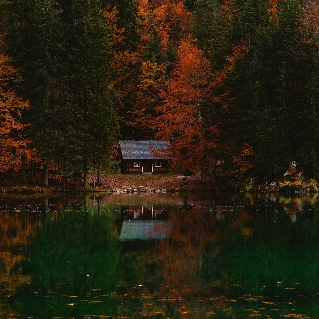 озеро и домик в лесу