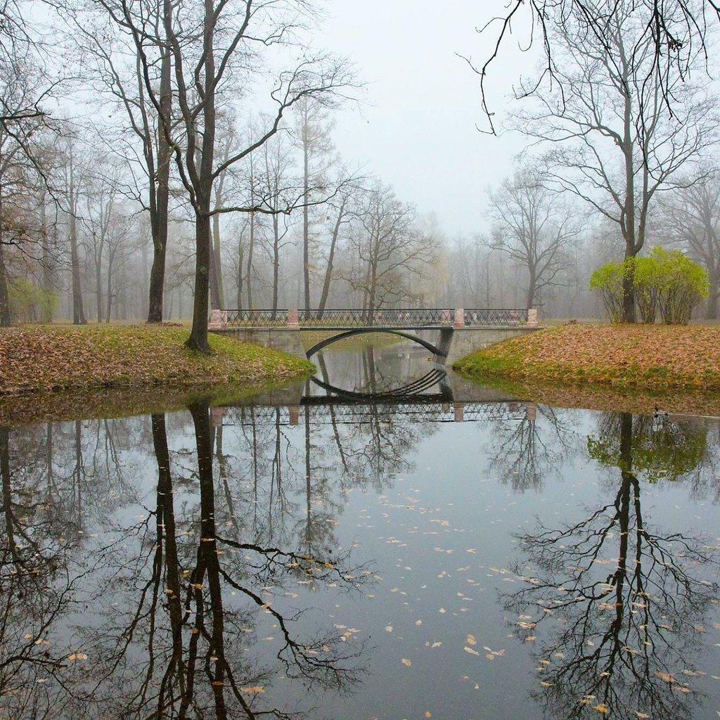 Обои отражение, мост, осень, речка, царское село, reflection, bridge, autumn, river, tsarskoye selo разрешение 2048x1365 Загрузить