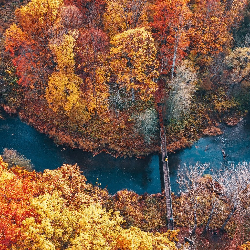 Обои река, парк, осень, river, park, autumn разрешение 3840x2160 Загрузить