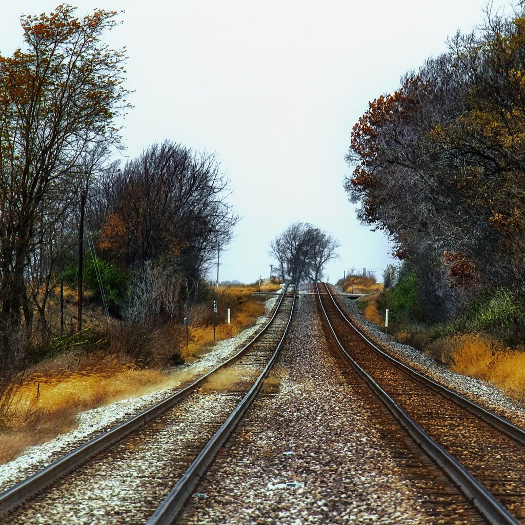 Обои железная дорога, природа, осень, railroad, nature, autumn разрешение 3840x2160 Загрузить