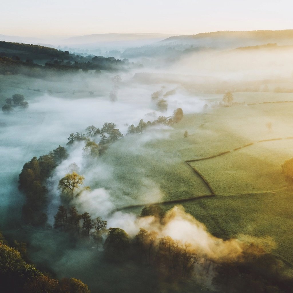 Обои деревья, холмы, утро, туман, долина, trees, hills, morning, fog, valley разрешение 2048x1363 Загрузить