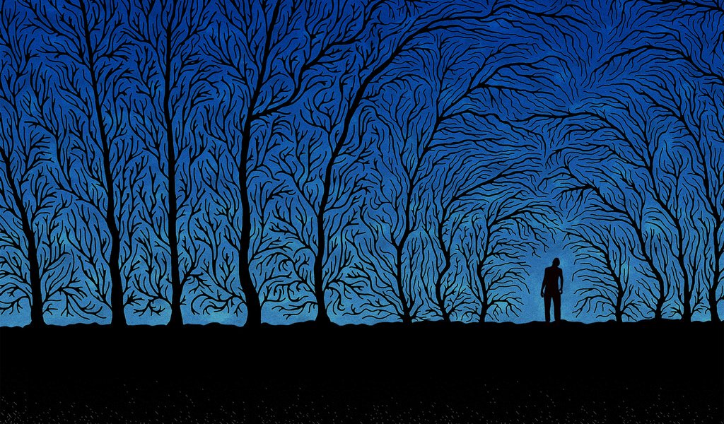 Обои деревья, синий, ветки, человек, черный, trees, blue, branches, people, black разрешение 2560x1600 Загрузить