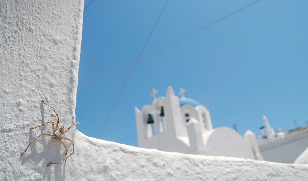 Обои небо, синий, белый, церковь, паук, санторини, the sky, blue, white, church, spider, santorini разрешение 2560x1600 Загрузить