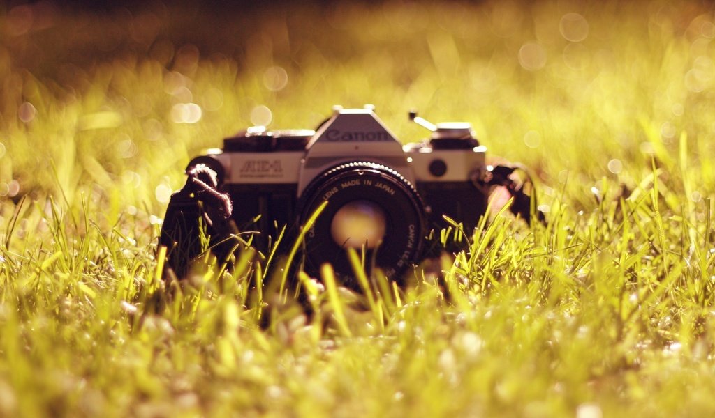 Обои трава, фотоаппарат, объектив, антиквариат, канон, grass, the camera, lens, antiques, canon разрешение 3855x2563 Загрузить