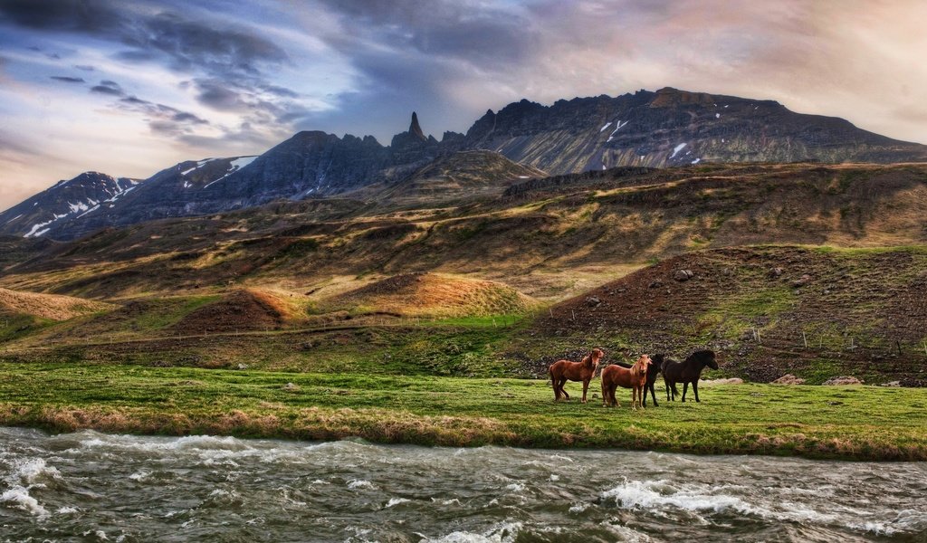 Обои облака, река, горы, лошади, clouds, river, mountains, horse разрешение 2560x1600 Загрузить