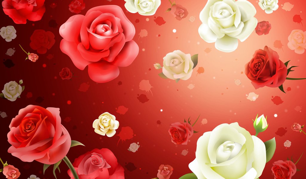 Обои цветы, обои, фон, розы, flowers, wallpaper, background, roses разрешение 2587x1687 Загрузить