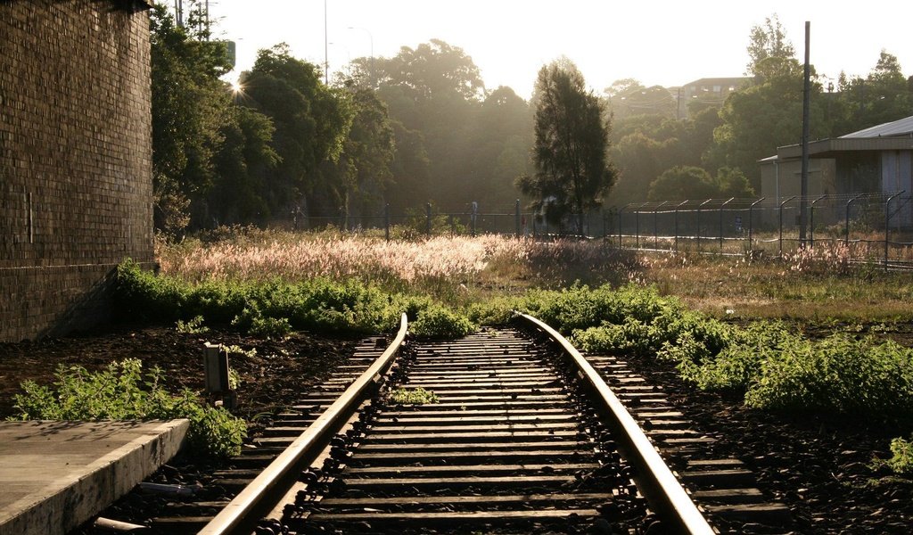 Обои цветы, трава, деревья, железная дорога, рельсы, постройки, flowers, grass, trees, railroad, rails, buildings разрешение 1920x1200 Загрузить