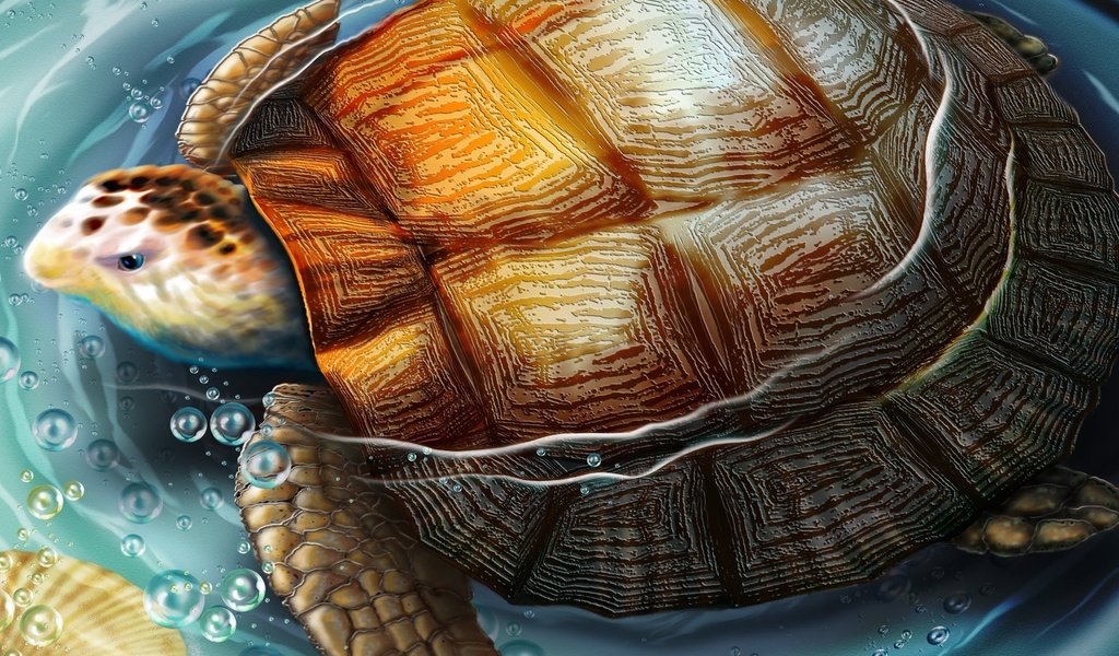 Обои рисунок, вода, черепаха, figure, water, turtle разрешение 1920x1200 Загрузить