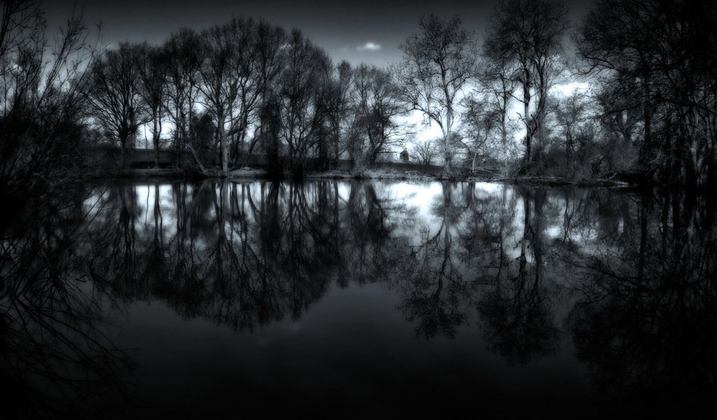 Обои ночь, деревья, вода, обои, фото, пейзажи, night, trees, water, wallpaper, photo, landscapes разрешение 1920x1200 Загрузить