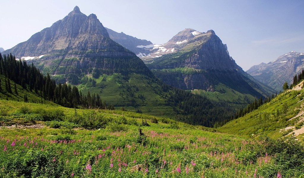 Обои горы, лес, луг, mountains, forest, meadow разрешение 1920x1200 Загрузить