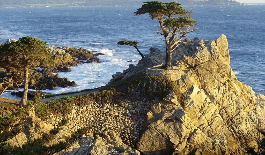 Обои деревья, скалы, побережье, trees, rocks, coast разрешение 1999x1333 Загрузить