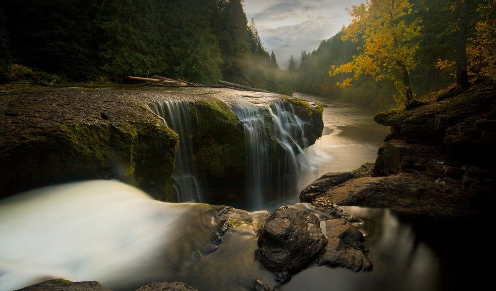 Обои деревья, река, камни, пейзаж, поток воды, trees, river, stones, landscape, the flow of water разрешение 1920x1200 Загрузить