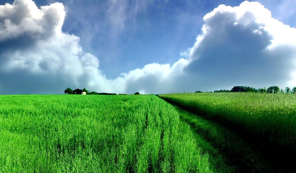 Обои облака, зелёный, поле, панорама, clouds, green, field, panorama разрешение 3840x1024 Загрузить