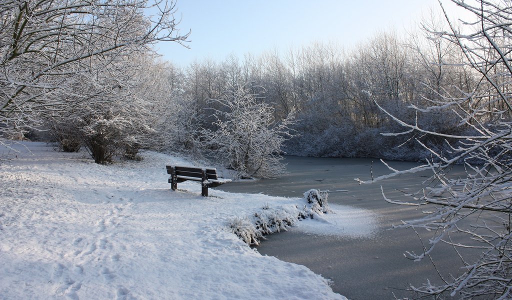 Обои река, снег, зима, лавочка, river, snow, winter, shop разрешение 2560x1600 Загрузить