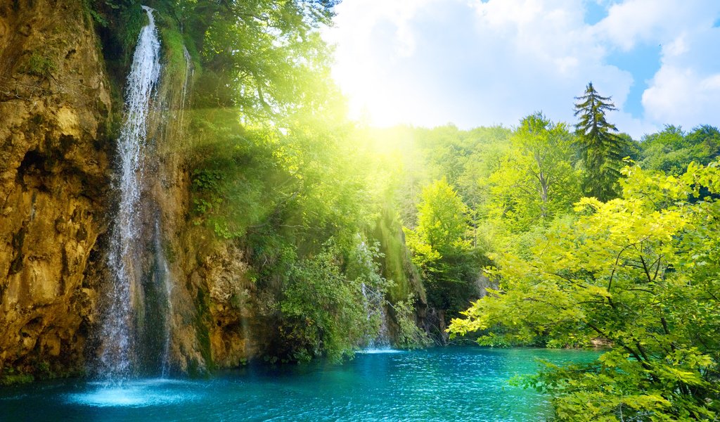 Обои деревья, солнце, водопад, trees, the sun, waterfall разрешение 2560x1600 Загрузить
