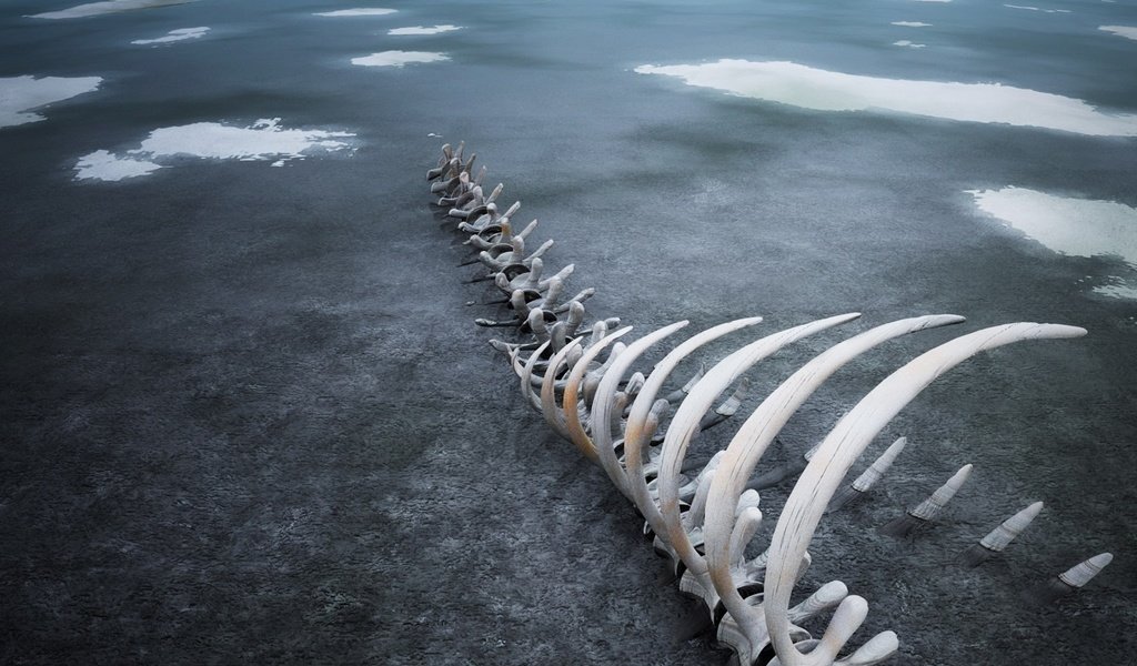 Обои лёд, кости, скелет, ice, bones, skeleton разрешение 1920x1440 Загрузить