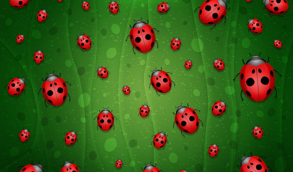 Обои зелёный, фон, божьи коровки, green, background, ladybugs разрешение 2560x1600 Загрузить