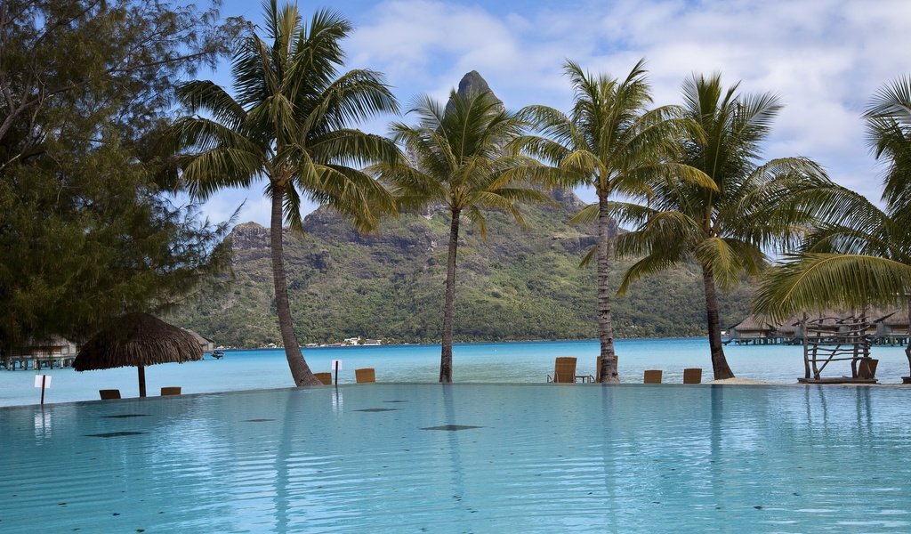 Обои облака, пальмы, бассейн, прибрежье, clouds, palm trees, pool, the coast разрешение 2560x1600 Загрузить