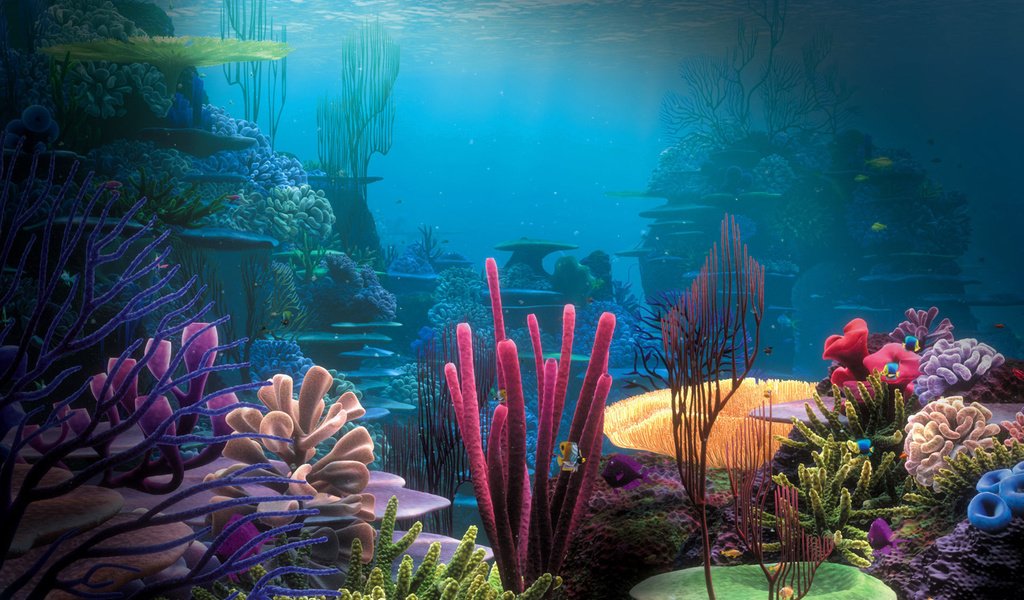 Обои природа, дно, океан, кораллы, риф, подводный мир, nature, the bottom, the ocean, corals, reef, underwater world разрешение 1920x1200 Загрузить