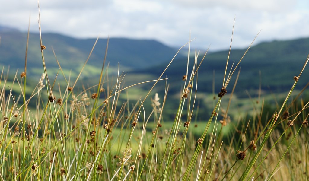 Обои небо, трава, горы, the sky, grass, mountains разрешение 6048x4032 Загрузить