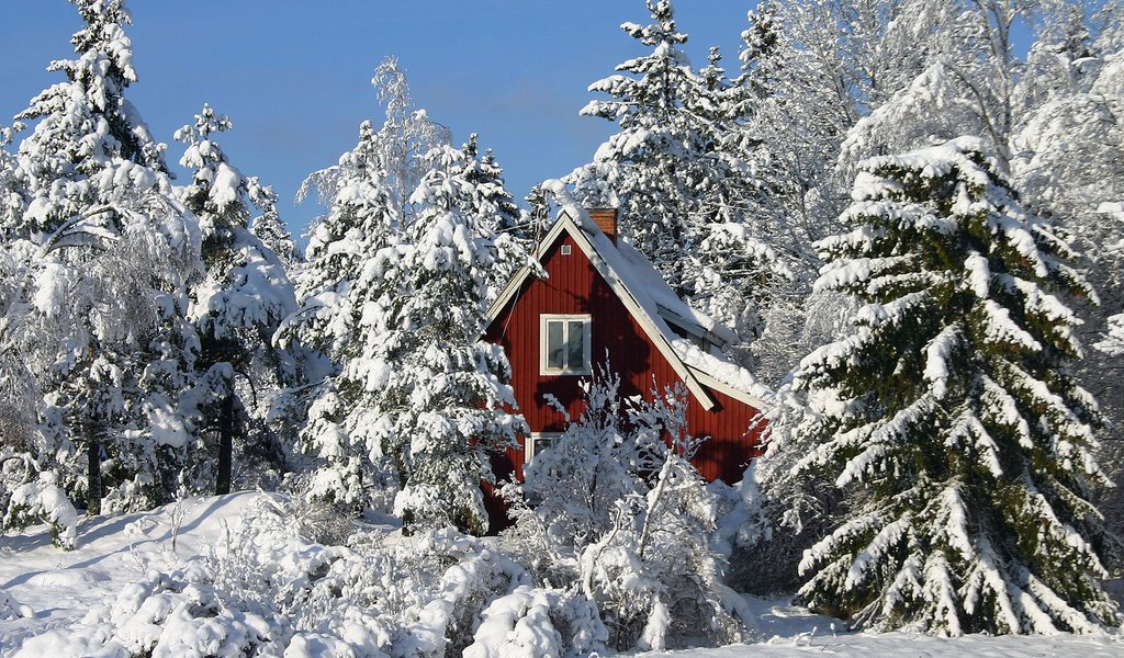 Обои деревья, зима, дом, trees, winter, house разрешение 1920x1200 Загрузить