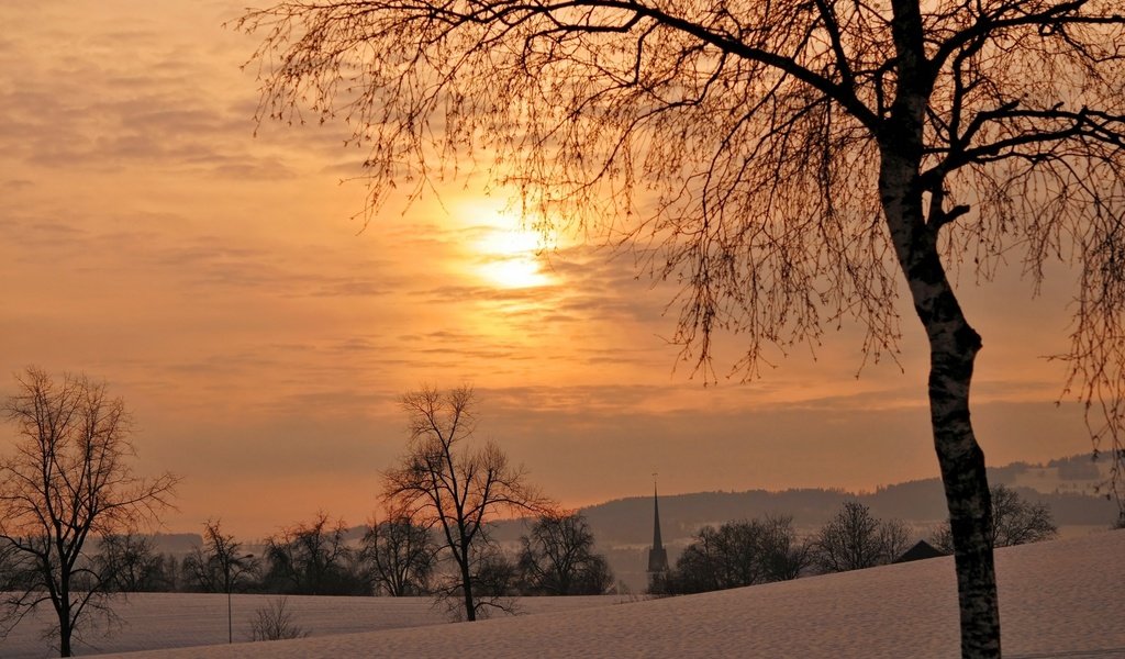 Обои деревья, закат, зима, trees, sunset, winter разрешение 2560x1600 Загрузить