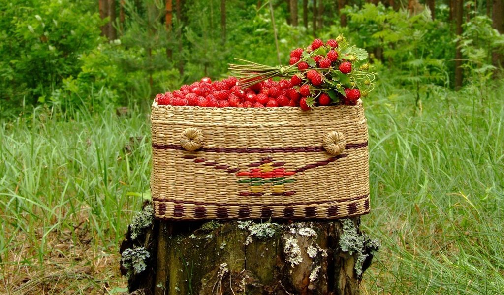 Обои корзина, пень, земляника, basket, stump, strawberries разрешение 1920x1440 Загрузить