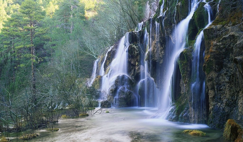 Обои деревья, лес, водопад, trees, forest, waterfall разрешение 1920x1200 Загрузить