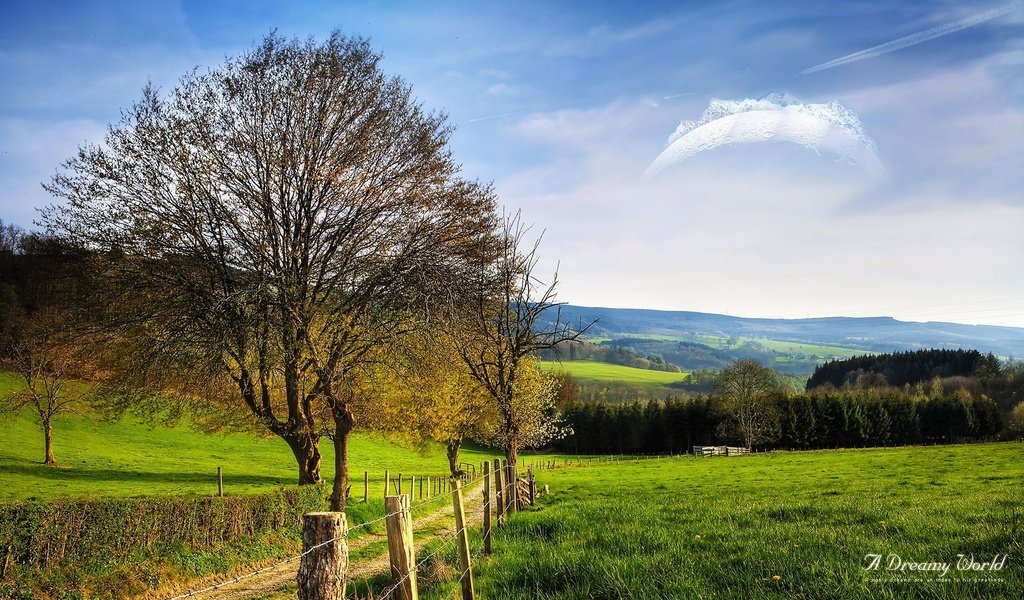 Обои дорога, дерево, поле, забор, dreamy world, road, tree, field, the fence разрешение 1920x1200 Загрузить