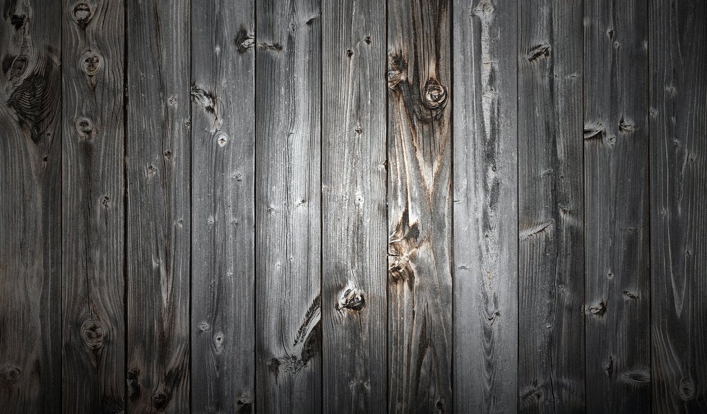 Обои дерево, текстура, дверь, доски, сарай, tree, texture, the door, board, the barn разрешение 2560x1600 Загрузить