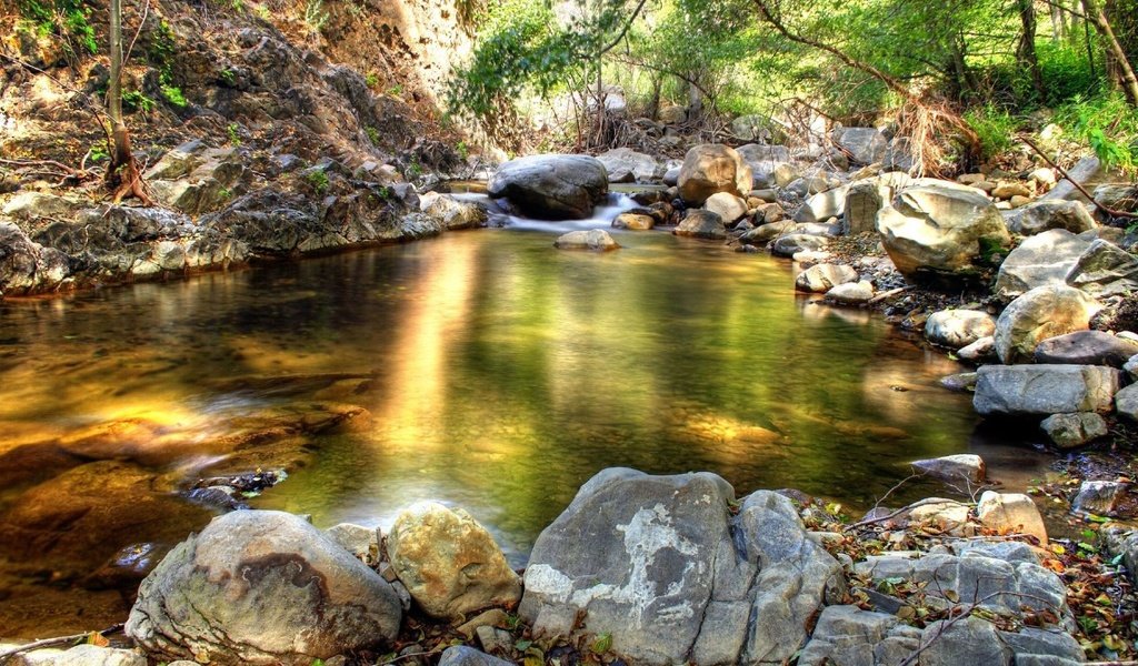 Обои камни, лес, ручей, stones, forest, stream разрешение 1920x1080 Загрузить