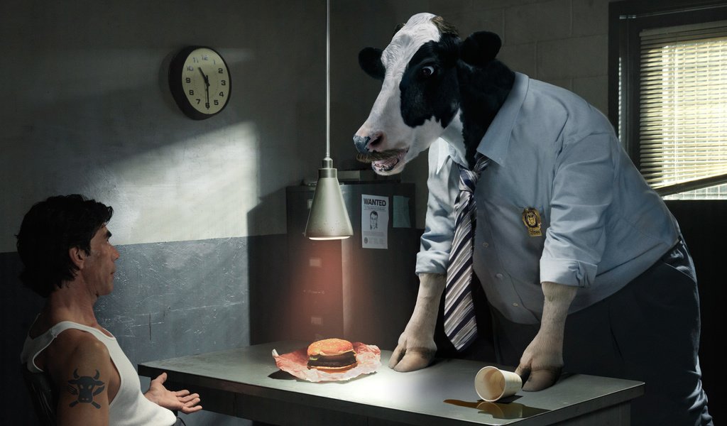 Обои корова, допрос, следователь, cow, questioning, the investigator разрешение 2000x1325 Загрузить