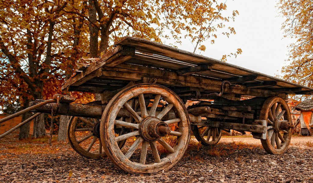 Обои осень, старый, повозка, autumn, old, wagon разрешение 1920x1200 Загрузить