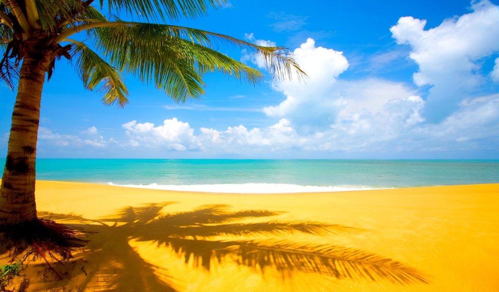 Обои облака, море, песок, пляж, пальма, тропики, clouds, sea, sand, beach, palma, tropics разрешение 2560x1600 Загрузить