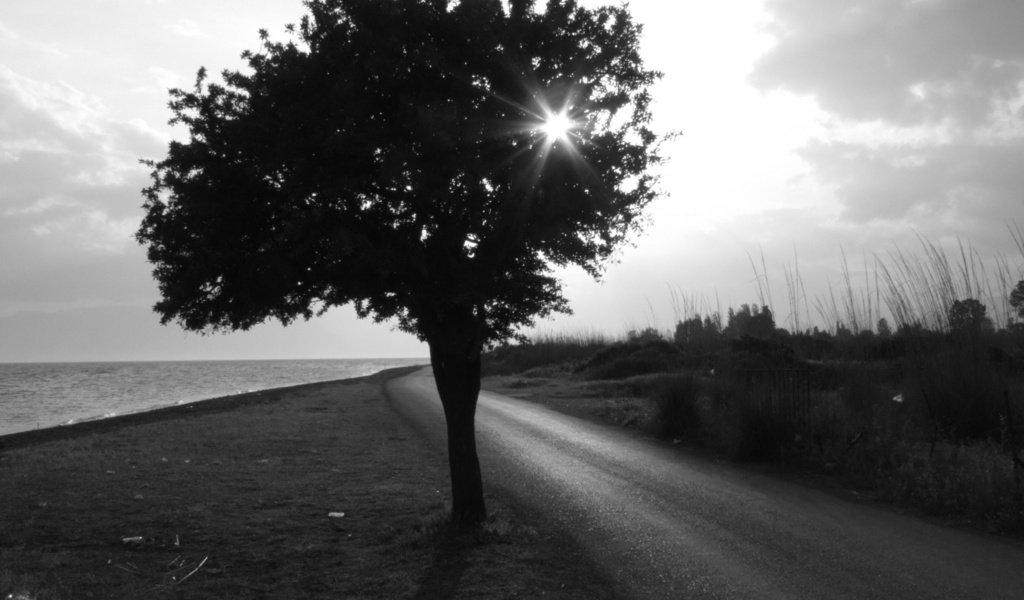 Обои дорога, дерево, чёрно-белое, черно-белая, road, tree, black and white разрешение 1920x1440 Загрузить