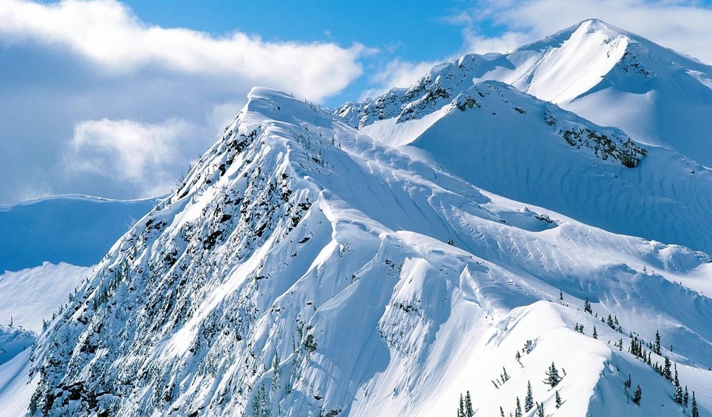 Обои небо, деревья, горы, скалы, снег, склон, the sky, trees, mountains, rocks, snow, slope разрешение 1999x1333 Загрузить