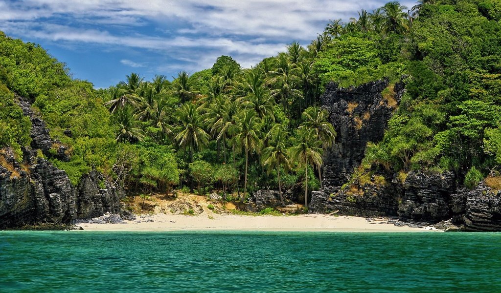 Обои пляж, пальмы, в укромном месте, beach, palm trees, in a secluded place разрешение 1920x1200 Загрузить