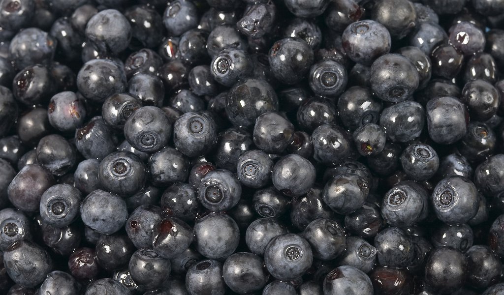 Обои черная, черника, сладкая, black, blueberries, sweet разрешение 2560x1600 Загрузить