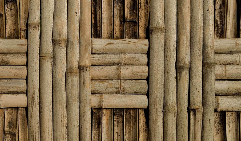 Обои текстура, стена, бамбук, фактура, плетение, texture, wall, bamboo, netting разрешение 2560x1600 Загрузить