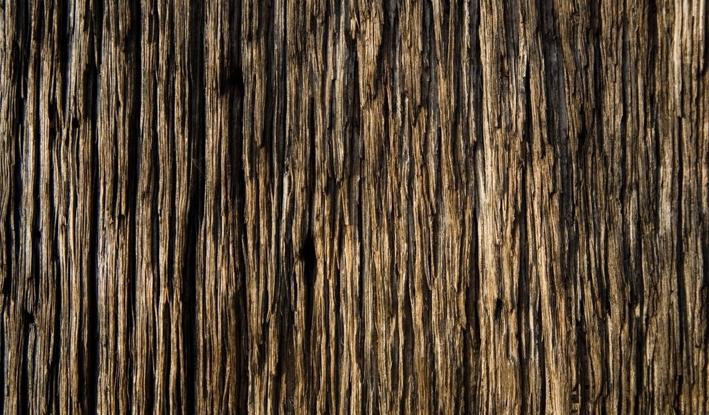 Обои дерево, текстура, доска, обоя, древесина, красивая, tree, texture, board, wallpaper, wood, beautiful разрешение 2048x1122 Загрузить