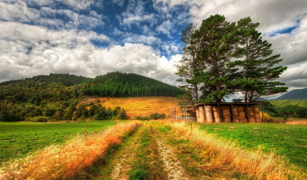 Обои небо, дорога, трава, облака, природа, лес, поле, трава.деревья, the sky, road, grass, clouds, nature, forest, field, grass.trees разрешение 2560x1600 Загрузить