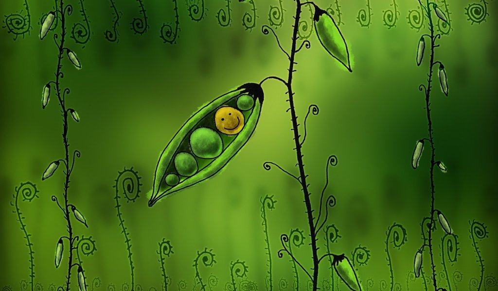 Обои рисунок, горох, смайл, figure, peas, smile разрешение 2560x1600 Загрузить