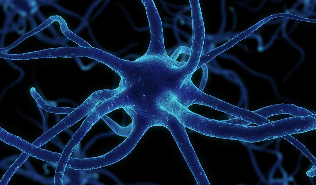 Обои сеть, нейрон, синапсы, network, neuron, synapses разрешение 1920x1080 Загрузить