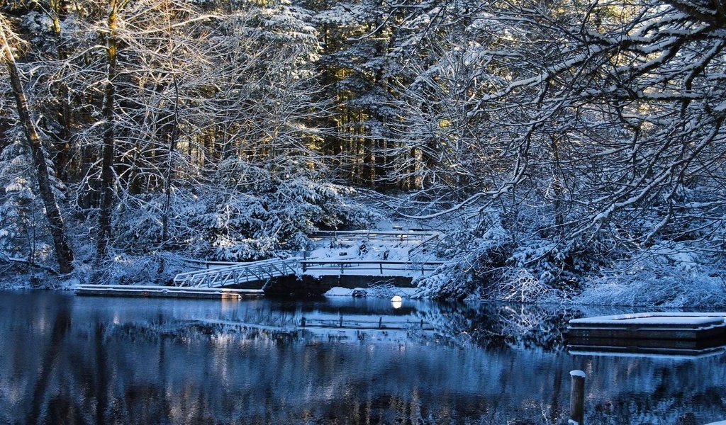 Обои деревья, вода, озеро, снег, зима, мост, trees, water, lake, snow, winter, bridge разрешение 1920x1080 Загрузить