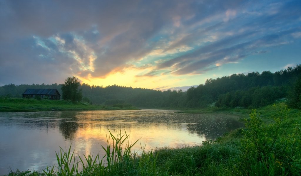 Обои трава, озеро, лес, отражение, grass, lake, forest, reflection разрешение 1920x1080 Загрузить