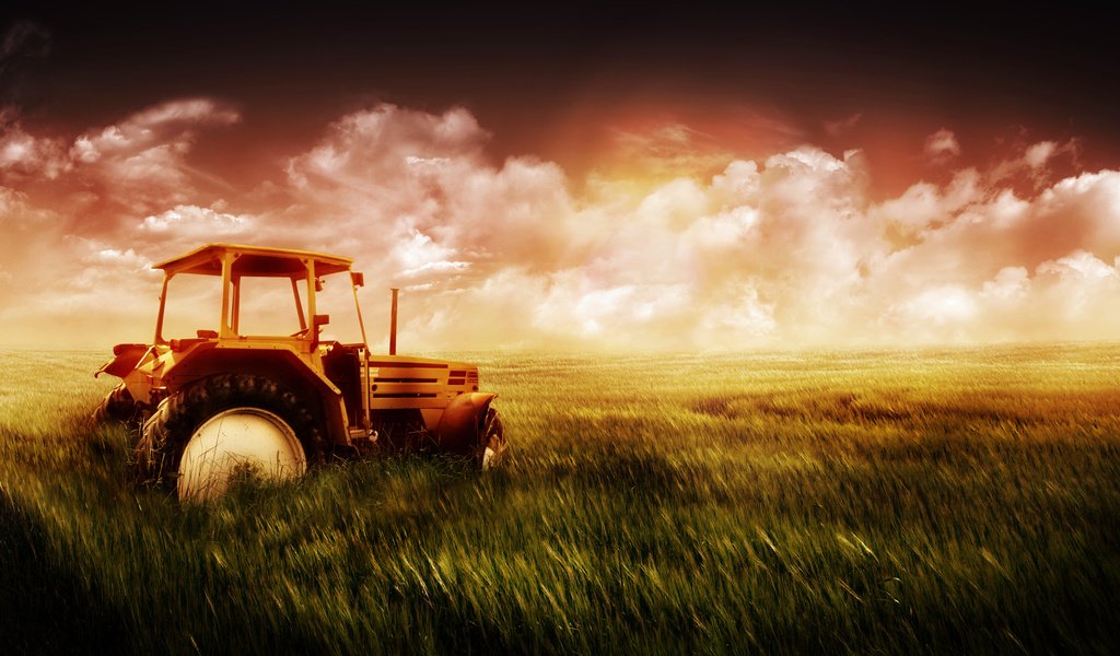 Обои небо, трава, поле, пшеница, трактор, the sky, grass, field, wheat, tractor разрешение 1920x1200 Загрузить