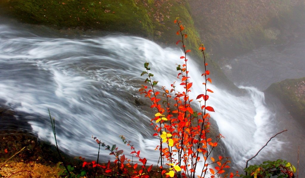 Обои река, листья, водопад, осень, river, leaves, waterfall, autumn разрешение 1920x1440 Загрузить