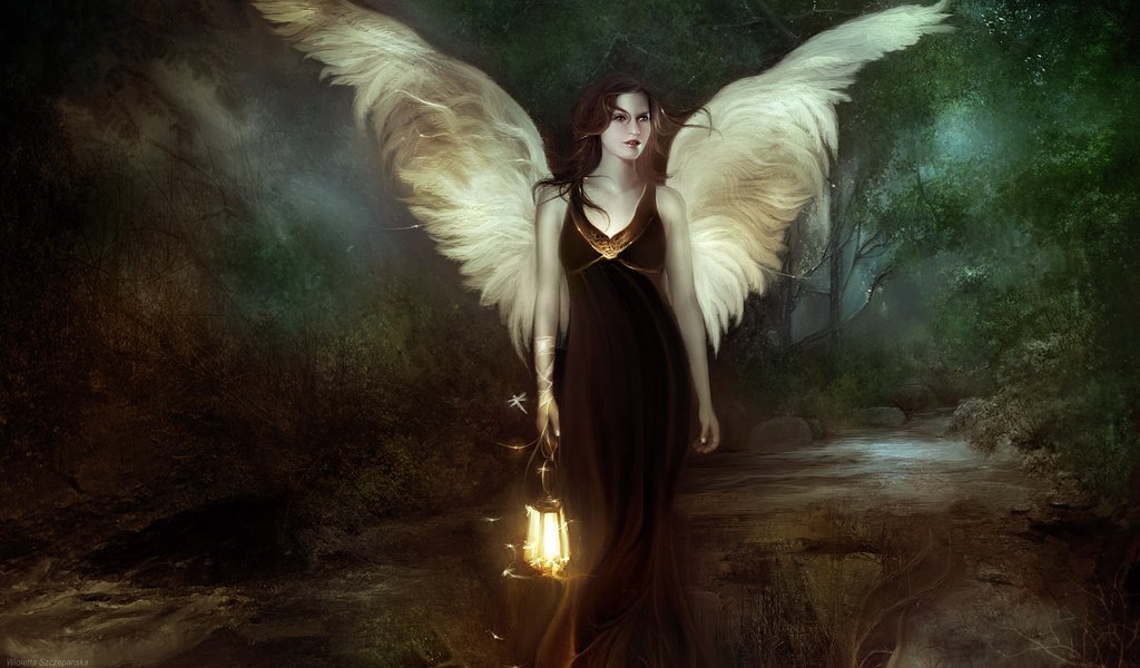 Обои крылья, фонарь, светлячки, wioletta szczepanska - the last angel, wings, lantern, fireflies разрешение 1920x1200 Загрузить